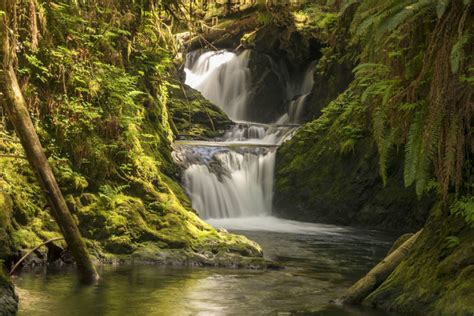 The Best Rain Forest Waterfalls on the Olympic Peninsula, WA