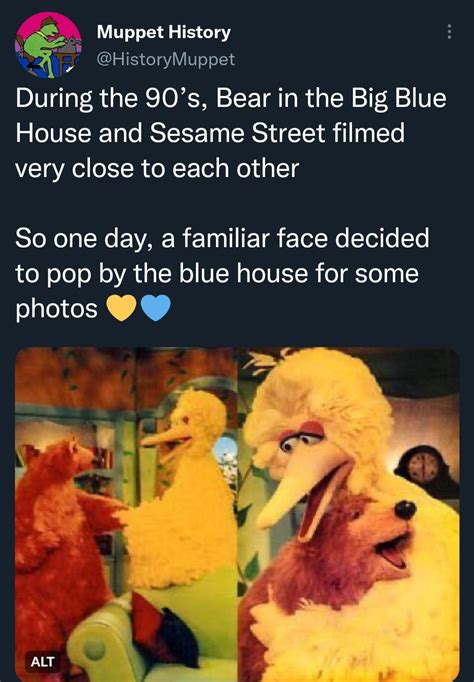 Big Bird Visits Bear In The Big Blue House : r/MadeMeSmile