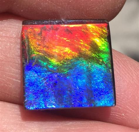 Ammolite loose stone | Ammolite, Crystal gems, Crystals