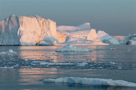 Floating Icebergs in Disko Bay during the Midnight Sun Stock Image - Image of dramatic ...