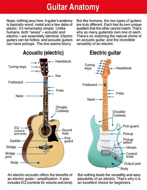 The Anatomy of a Guitar