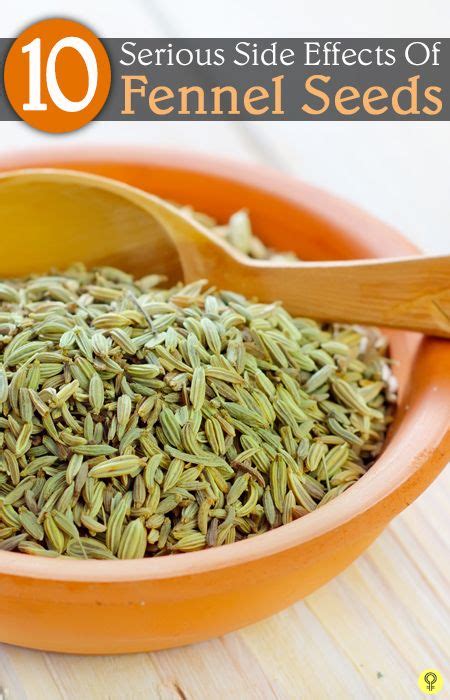 Rochelle Evans Berita: Fennel Seeds Side Effects For Females In Hindi