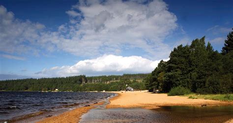 Glenmore Campsite - Aviemore | Camping in the Forest