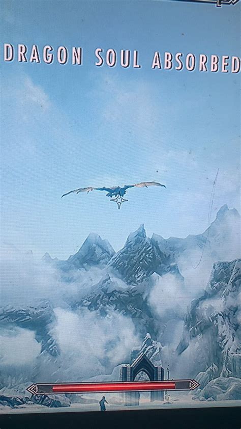 By far one of my favorite Skyrim glitches : r/skyrim