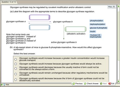 Solved Glycogen synthase may be regulated by covalent | Chegg.com