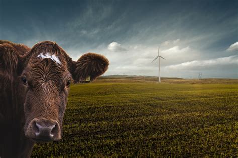 SUBSÍDIO À ELETRICIDADE VERDE 2020? ASSIM NÃO, OBRIGADO! | IACA