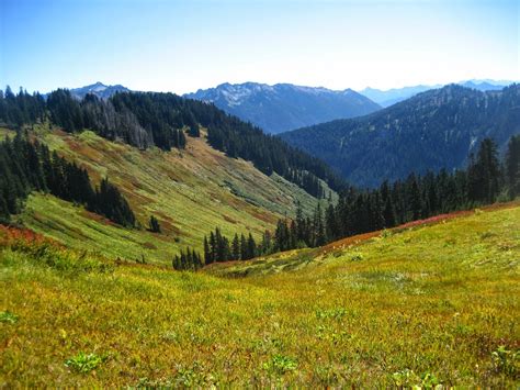 Pacific Crest Trail: 2014: Stevens Pass to Stehekin