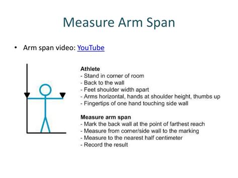 PPT - Classification Measurements PowerPoint Presentation, free download - ID:4915074