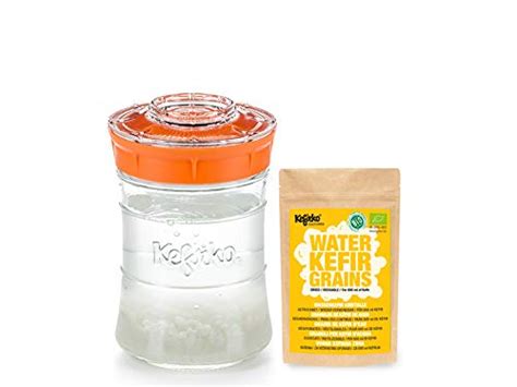 Buy Kefirko Complete Water KEFIR Starter Kit 848ml Jar with Grains ...