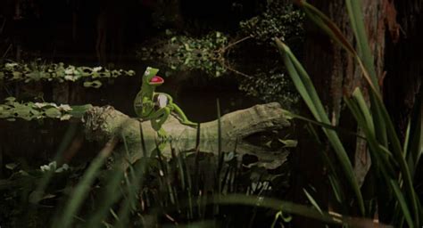 Kermit the Frog sings The Rainbow Connection (1979) | The Kid Should ...