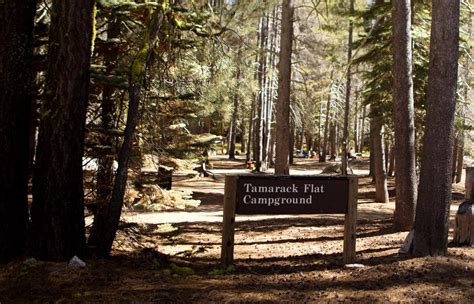 Tamarack Flat Campground, Yosemite National Park - Recreation.gov