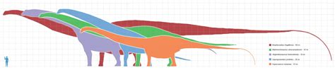 Amphicoelias Fragillimus Vs Brachiosaurus