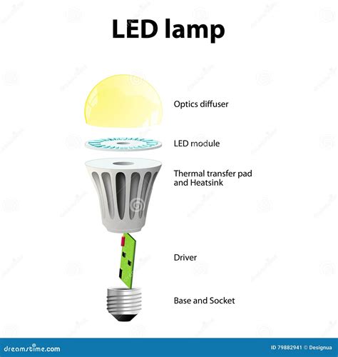 Basic Components of LED LightÂ Bulbs Stock Vector - Illustration of diffuser, labeled: 79882941