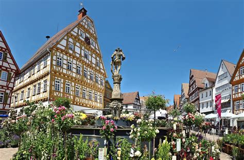 Besonderes Fest in Leonberg: Der Marktplatz erblüht und swingt ...