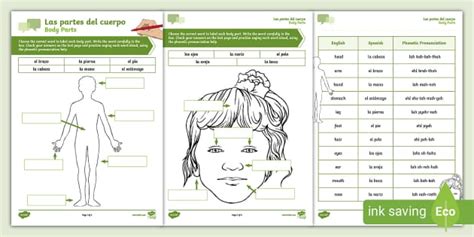 Spanish: Body Parts Labelling Activity Sheet (teacher made)