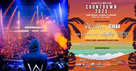 Watch Alan Walker, R3HAB, Havana Brown At The Grand Wave New Year ...