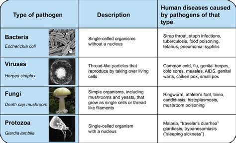 infectious diseases (lesson 0401) - TQA explorer