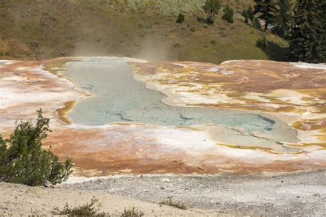 Thermal Springs and Limestone Formations at Mammoth Hot Springs in Wyoming Stock Image - Image ...