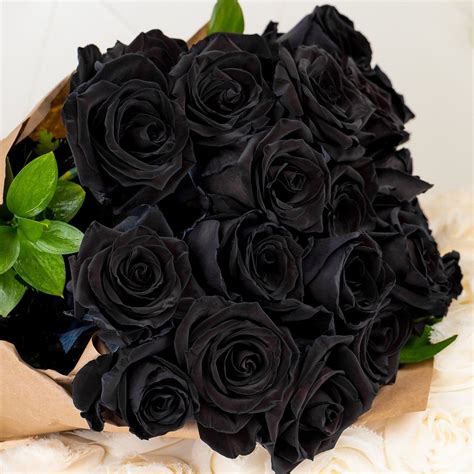 Looking for a real black rose? Some like it because it looks very mysterious, others because it ...