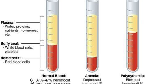 What is the Difference Between Hemoglobin and Hematocrit - Pediaa.Com