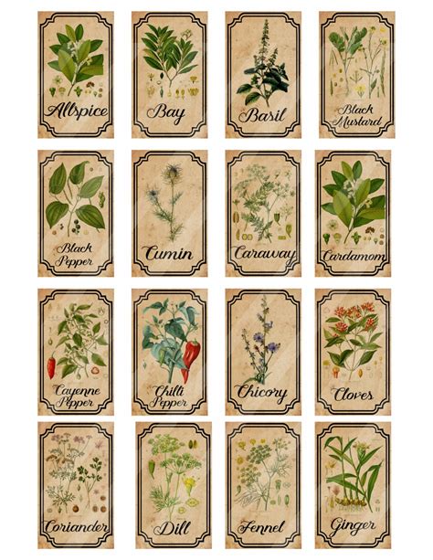 Free Printable Vintage Herb Labels - Free Templates Printable