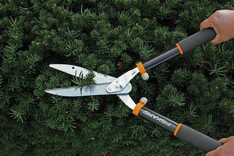 Best Garden Scissors Guide: Which Model Suits You Best?