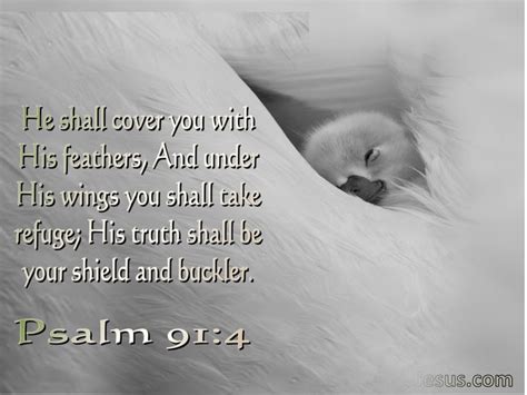 8 Bible verses about God's Wings