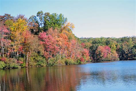 French Creek State Park Camping: 10 Things to Know Before You Go