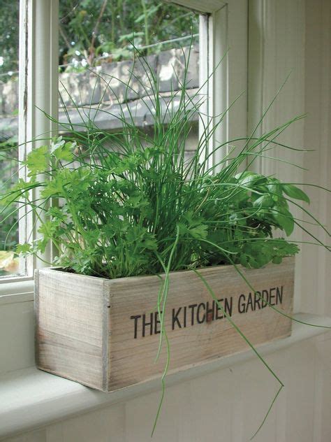 10 Window Herb Garden Ideas, Brilliant and Interesting (With images) | Window herb garden ...