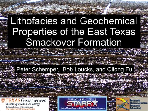 Lithofacies and Geochemical Properties of the East Texas Smackover ...