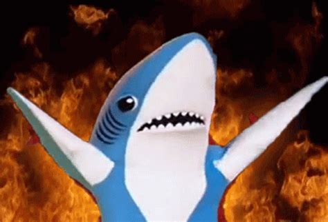 Shark Fire GIF - Shark Fire Pyro - Discover & Share GIFs