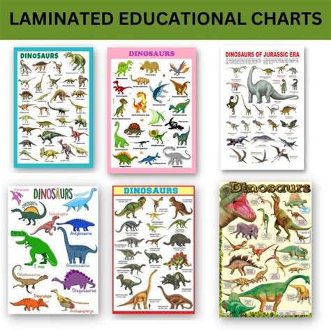 Laminated Types of Dinosaurs Charts, Dinosaur Types Charts for Kids, Learners and Teachers ...