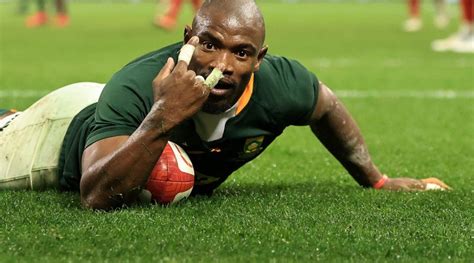 Springbok tickets: Extra seats selling fast, how to get yours - Sportnow