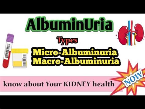 What is Albuminuria|Types| Albuminuria test|microalbuminuria ...