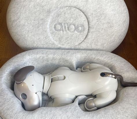 Sony aibo ERS-1000 アイボ - technoscience.co.jp