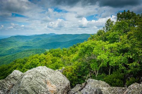 10 Best Trails for Hiking Near Charlottesville (All Levels)