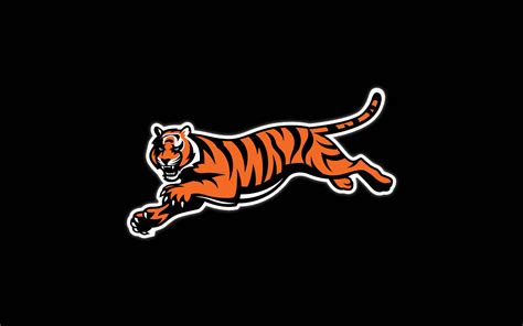 [100+] Cincinnati Bengals Wallpapers | Wallpapers.com