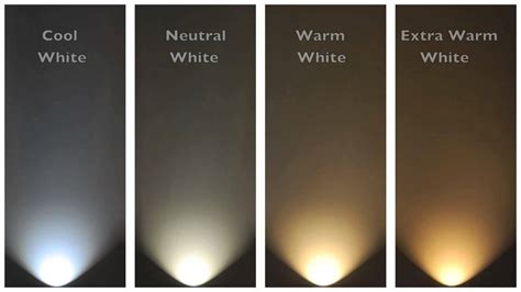 What colour light bulbs do you use at home? | Sherdog Forums | UFC, MMA & Boxing Discussion