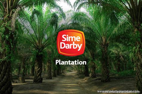 Sime Darby Plantation plans to fully use GenomeSelect seeds for oil ...