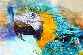 Free illustration: Parrot, Vintage, Colorful, Bird - Free Image on Pixabay - 1480624