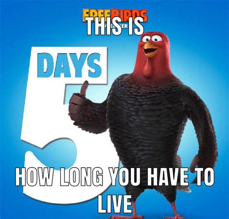 this is how long you have to live | Free Birds | Know Your Meme