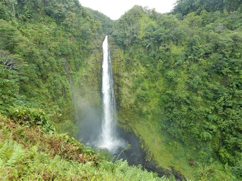 Akaka falls | Fall, Waterfall, Outdoor