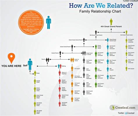 What’s The Difference Between 2nd Cousins & 1st Cousins Once Removed ...