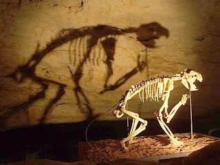 All Animal Pictures: Cave Lion: The Most Huge Extinct Animal in The World