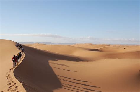 Sahara Desert: Facts and Information You Need to Know