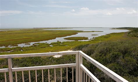 Aransas National Wildlife Refuge – DearTexas,