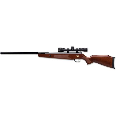 Beeman Elkhorn .22 Air Rifle with 3-9x32mm AO Scope - Walmart.com