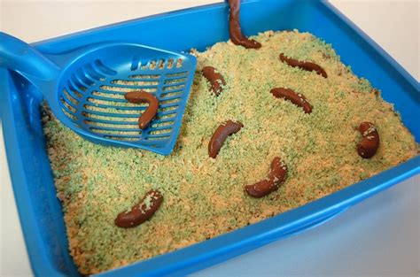 Kitty Litter Cake | Cooking Mamas