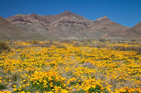 Hiking in El Paso: 10 Best Trails In + Near El Paso