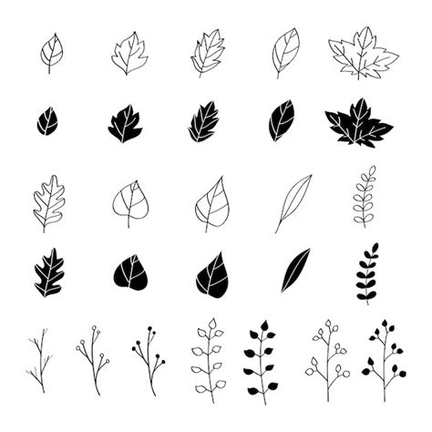 Free Vector | Hand drawn leaves collection